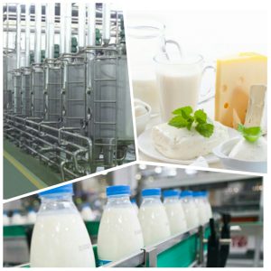 بررسی کاربرد دیگ بخار در صنایع لبنی و فرآورده‌های لبنی